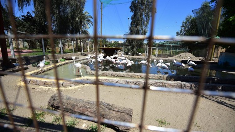 बगदाद जवारा पार्क