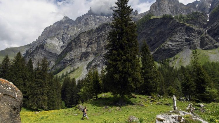 La bellezza della natura