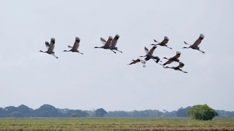 La sostenibilità al centro del Recovery Plan