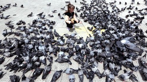 World Environment Day: protect  biodiversity, prevent pandemics