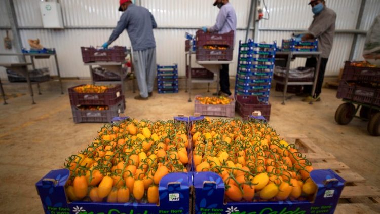 Coronavirus: azienda produzione agricola 