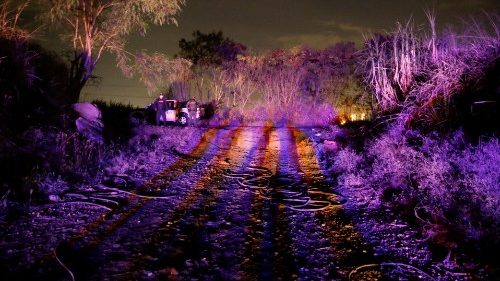 Kolumbien: Bischof beklagt gewaltsamen Tod von fünf Schülern
