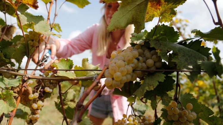 Tafakari ya Neno la Mungu Jumapili XXVI: Toba na Wongofu wa ndani; Upendo Unaomwilishwa katika fadhila ya unyenyekevu; vikwazo vikuu vinavyowazuia waamini kutimiza mapenzi ya Mungu.