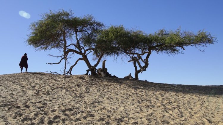 Oase in der ägyptischen Wüste