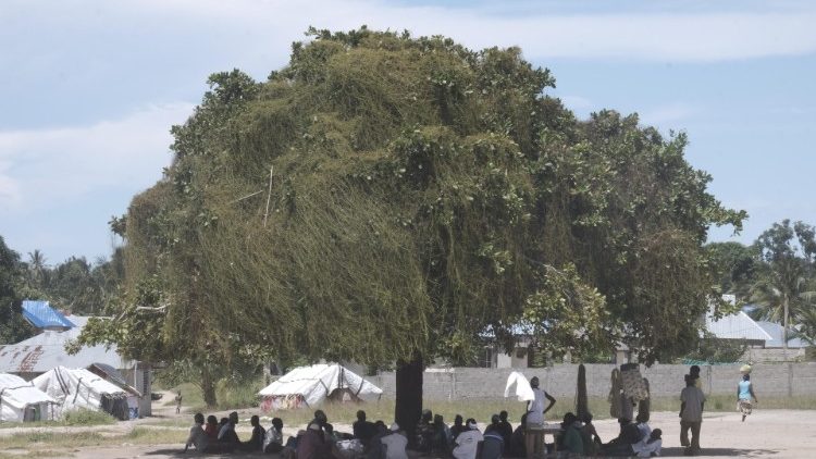 Deslocados de Palma em Niassa