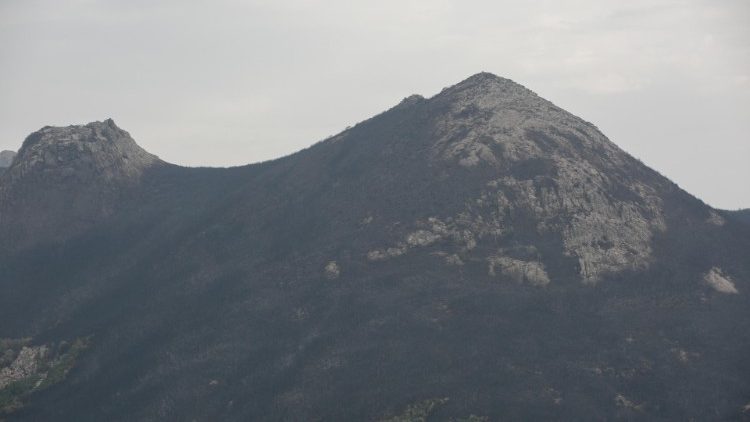 Gli incendi in Sardegna hanno creato una catastrofe senza precedenti (ANSA)