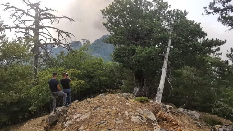 Gli incendi in Aspromonte 