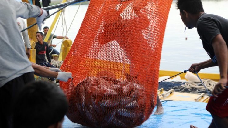 Workers in the fishing sector in Aceh, Indonesia 