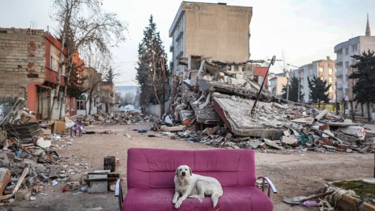 Daily life in Adiyaman following powerful earthquake