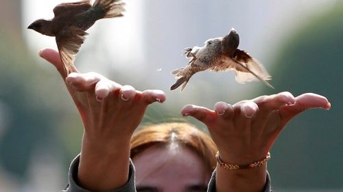 Theologie-Portal „Feinschwarz" bekommt Herbert-Haag-Preis 