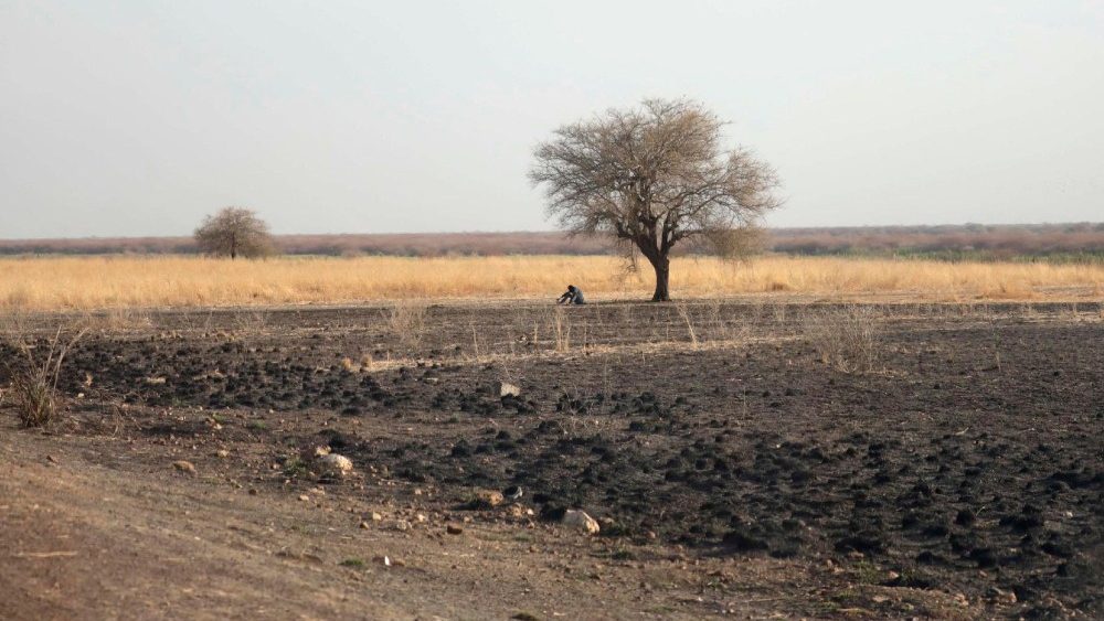 Um homem se abriga do sol alto sob uma árvore entre a cidade de Renk e a fronteira de Joda, Sudão do Sul, 11 de maio de 2023. EPA/AMEL PAIN