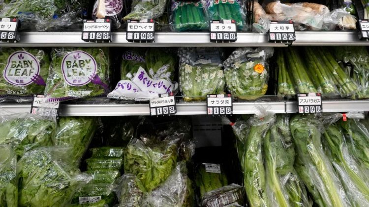 Vegetables wrapped in plastic at a supermarket in Tokyo, Japan. Japan remains to be one of the largest producers of single-use plastics in the world. 