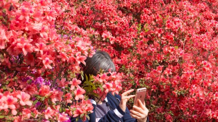 Smartphones have become an integral part of life. 