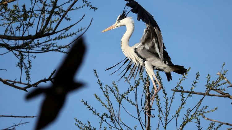 Khác biệt tôn giáo không phải là lý do để không thể chung sống vì lợi ích người khác