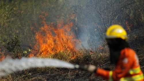 Les évêques d’Amérique Latine s’alarment face aux incendies en Amazonie