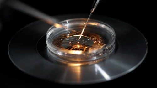 Frankreich: Bischöfe loben Demonstration gegen Bioethik-Reform