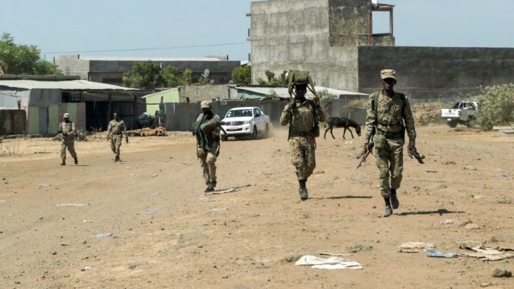 Ethiopian troops in Danasha, Amhara region near a border with Tigray