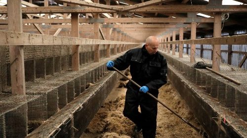 Papst Franziskus: Unser Verhältnis zur Natur neu justieren