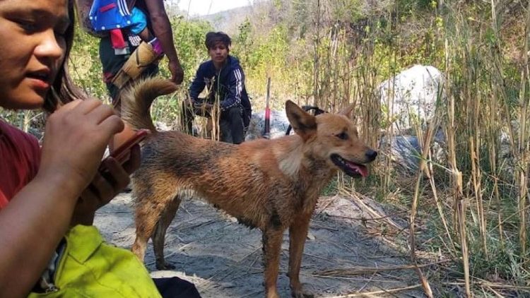 Menschen auf der Flucht aus Myanmar