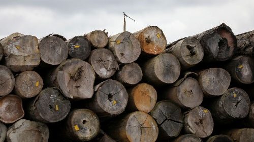 Dom Cláudio: “A crucificação da Amazônia desencadeia sofrimento para muitos filhos e filhas de Deus”