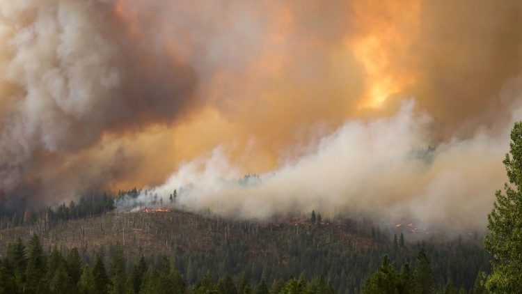 Immagine di un incendio devastante in California (foto d'archivio)
