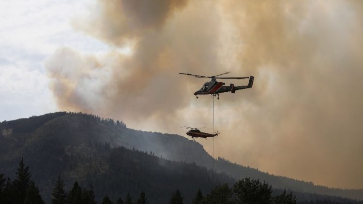 Emergenze incendi in tutto il mondo