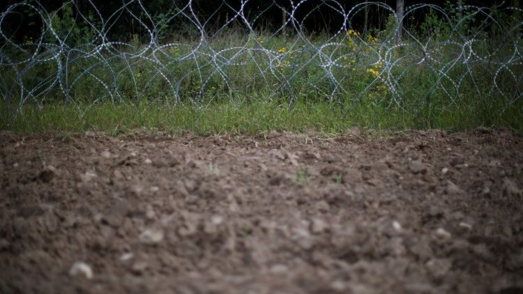 Barbered wire is pictured at the Polish-Belarusian border near the village of Usnarz Gorny