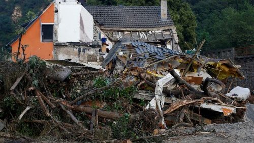 D: Weihnachtsbäume als Hoffnungszeichen für Flutopfer