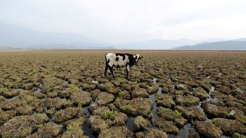 D: Theologen diskutieren vier Tage über Schöpfung und Klimakrise