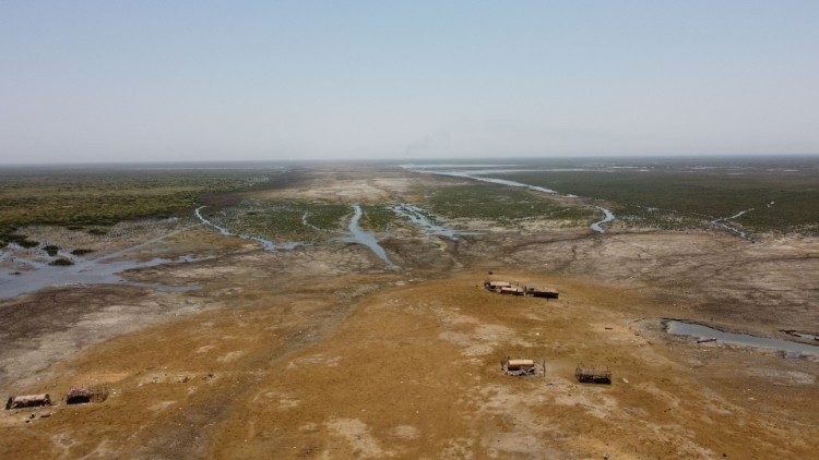 Efectos del cambio climático