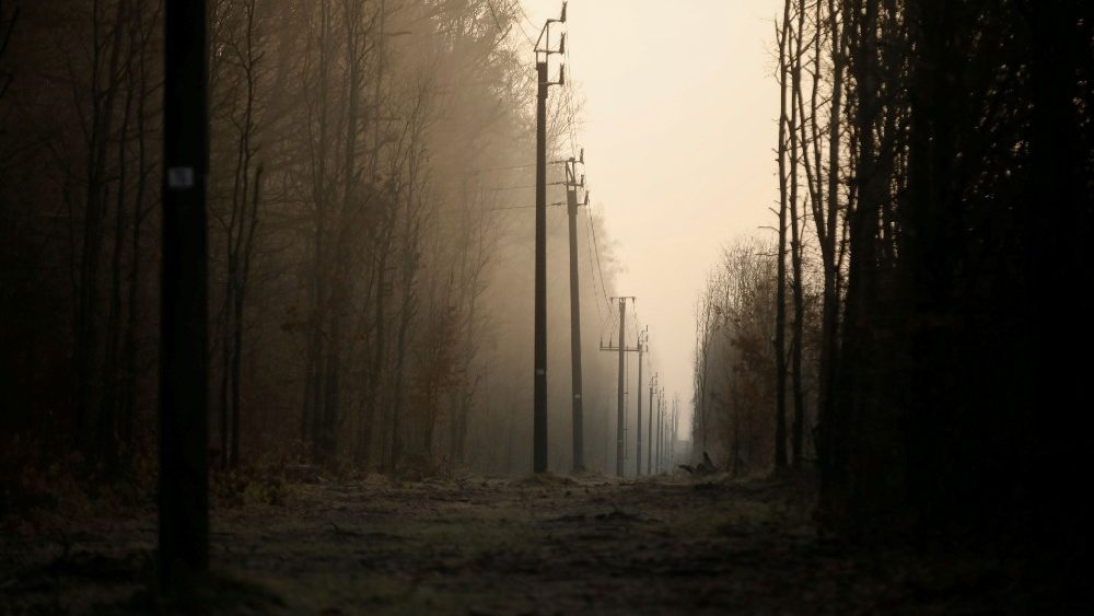 The migrant crisis on the Belarusian - Polish border near Hajnowka