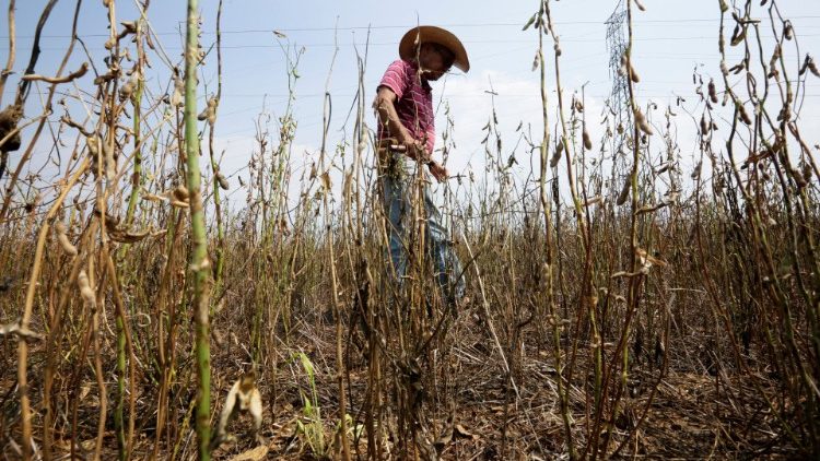 Kleinbauer auf dem Land; zuletzt hatten die Produzenten mit einer schlimmen Dürre zu kämpfen