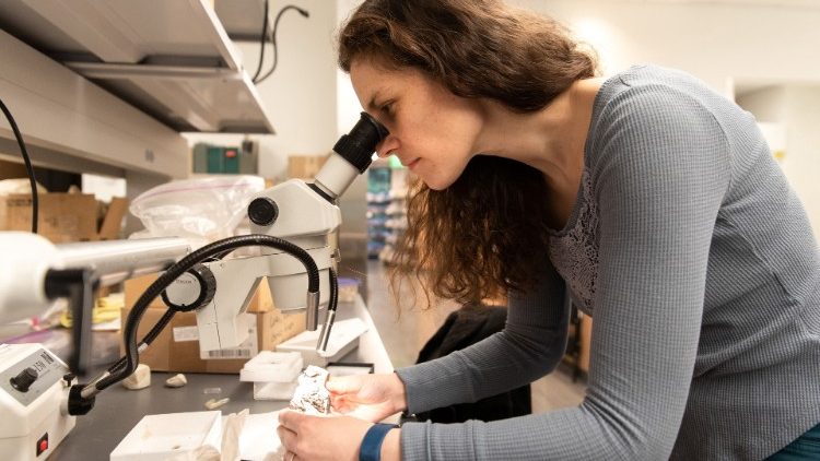 Papieska Akademia Nauk przestrzega przed wojną nuklearną