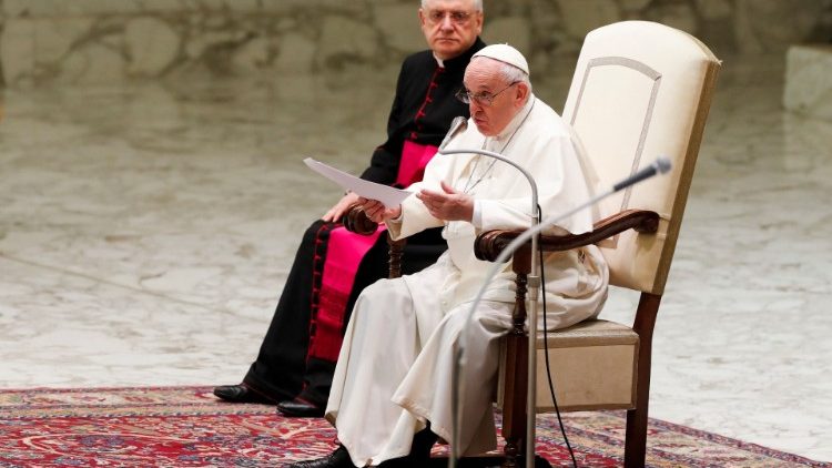 教宗主持公开接见活动