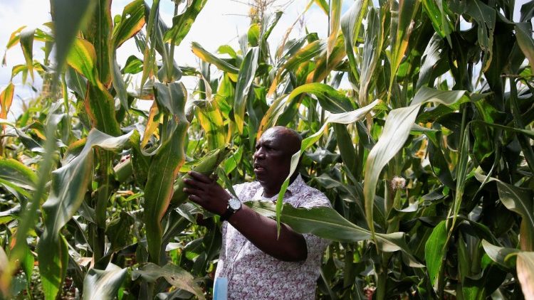 Landwirt in Simbabwe: Missio hilft in Afrika, Asien und Ozeanien