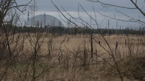 Ukraine: Krieg verursacht enorme Umweltsch&auml;den