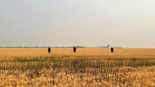 Grano ucraino, l’Ue cerca una soluzione per le esportazioni