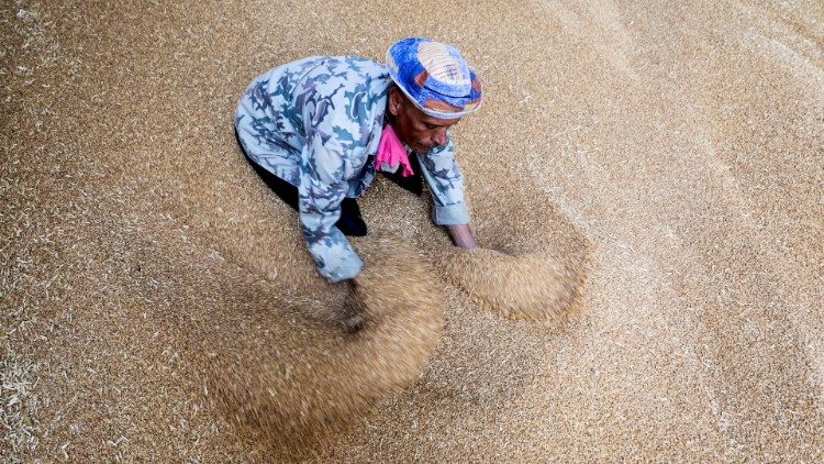 Silos di grano in Egitto