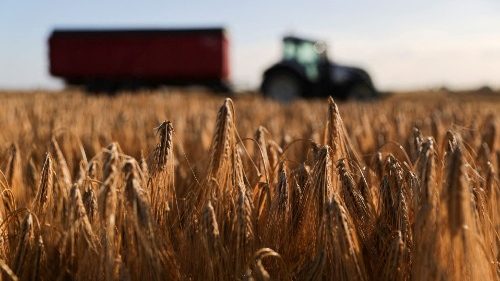 No 132º dia de guerra, o convite a rezar pelos agricultores ucranianos