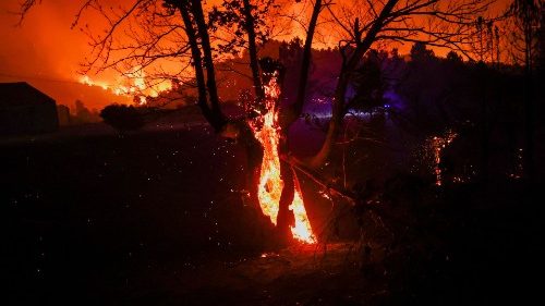 CCEE per il Tempo del Creato: la mano dell'uomo freni la distruzione 