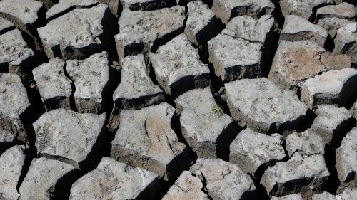 Österreich: Wasserweihe am ausgetrockneten Zicksee