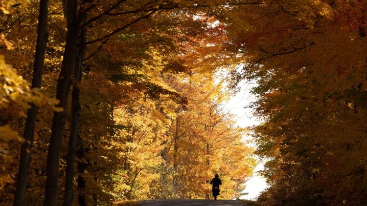 Zakayo alitia nia kabisa ya kukutana na Kristo Yesu Mbashara!