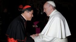 tagle-luis-antonio-1511174570339.JPG