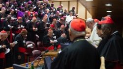 2018-10-11-ix-congregazione-generale-sinodo-d-1539242776108.JPG