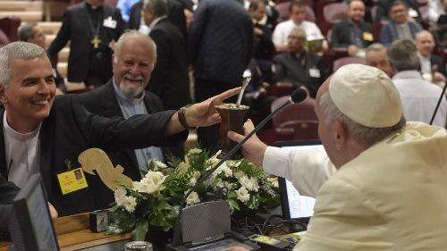 Synode sur l'Amazonie: appel à la conversion écologique et piété populaire