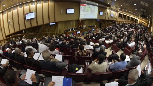 Amazon Synod: reports of small working groups 