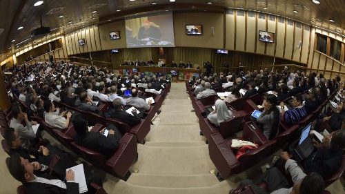 #SinodoAmazonico. Presentate le relazioni dei Circoli Minori