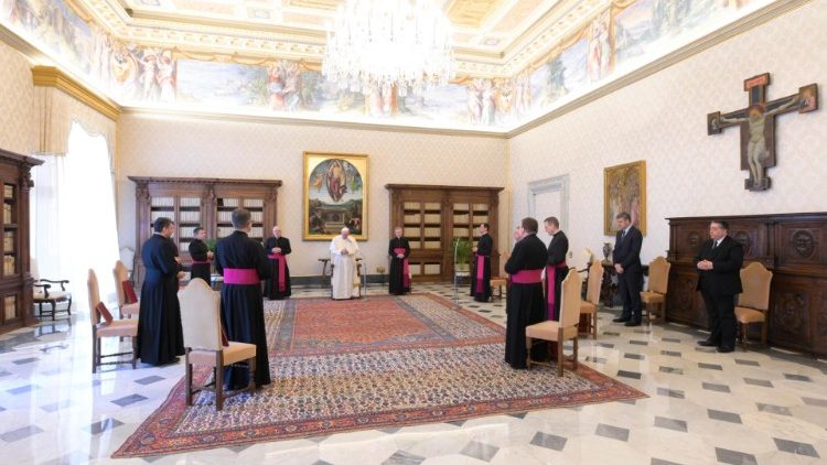 Audiencja ogólna w bibliotece Pałacu Apostolskiego 