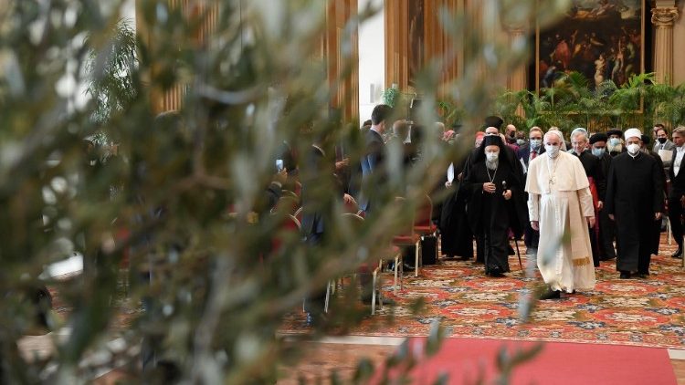 L'ulivo che sarà piantato nei Giardini Vaticani a ricordo dell'evento di oggi