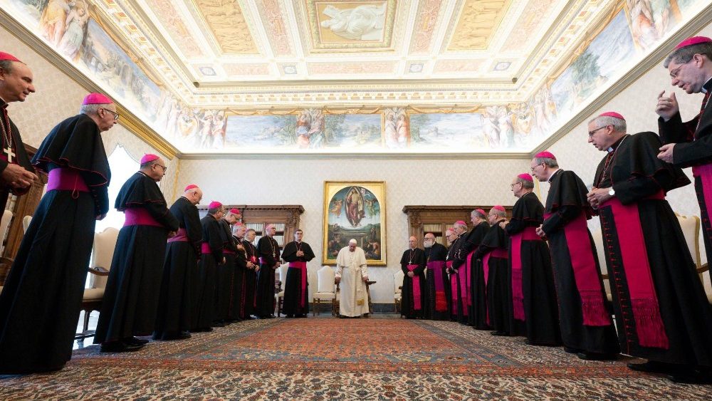 Bispos das províncias eclesiásticas de Botucatu, Campinas e Ribeirão Preto se reuniram com o Papa